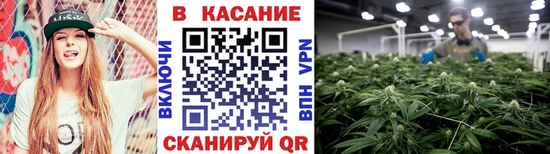 Где можно купить наркотики Александровское Галлюциногенные грибы  A-PVP  Мефедрон  COCAIN 