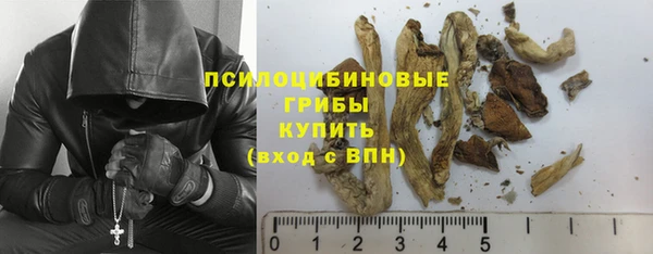 прущий лед Лагань