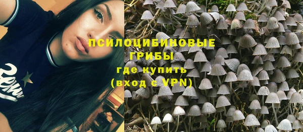 МДПВ Ладушкин