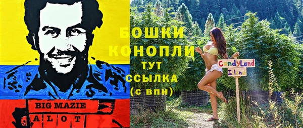 МДПВ Ладушкин