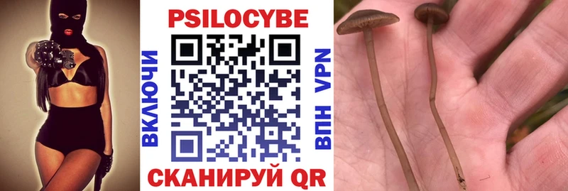 где продают наркотики  Александровское  Псилоцибиновые грибы ЛСД 